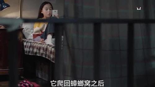 小朋友在成都爆料视频,揭秘童趣成都生活点滴